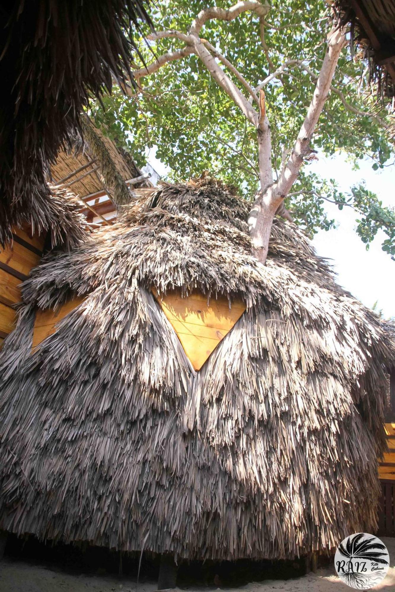 Raiz Kite 2* Jijoca de Jericoacoara