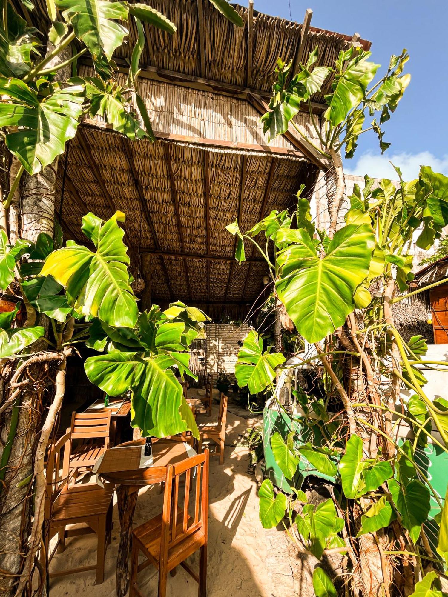 Hotel Raiz Kite